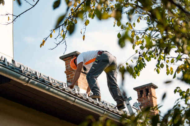 Roof Waterproofing Services in Lindstrom, MN