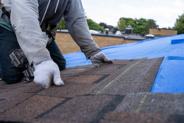 Quick and Trustworthy Emergency Roof Repair Services in Lindstrom, MN