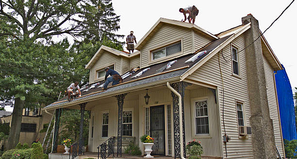 Best Best Roofing Contractors  in Lindstrom, MN