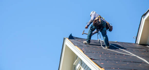 Best Roof Waterproofing Services  in Lindstrom, MN